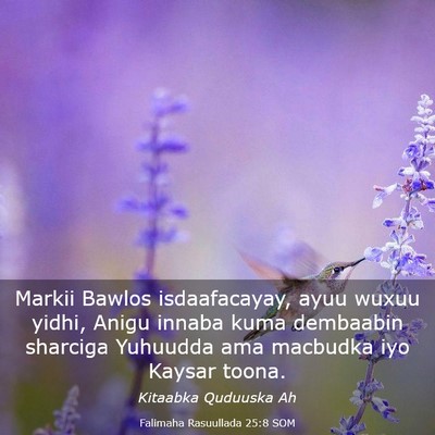 Picture 03 - Falimaha Rasuullada 25:8 SOM - Markii Bawlos isdaafacayay, ayuu wuxuu yidhi, - Bible Verse Picture