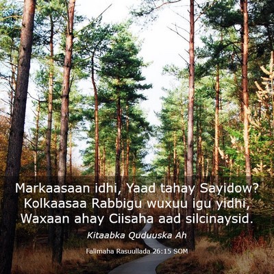 Picture 03 - Falimaha Rasuullada 26:15 SOM - Markaasaan idhi, Yaad tahay Sayidow? Kolkaasaa - Bible Verse Picture