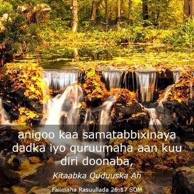 Picture 03 - Falimaha Rasuullada 26:17 SOM - anigoo kaa samatabbixinaya dadka iyo quruumaha - Bible Verse Picture