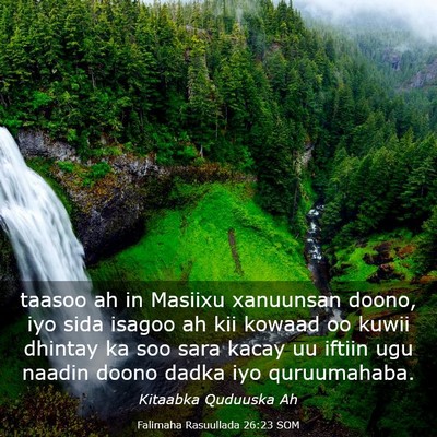 Picture 03 - Falimaha Rasuullada 26:23 SOM - taasoo ah in Masiixu xanuunsan doono, iyo sida - Bible Verse Picture
