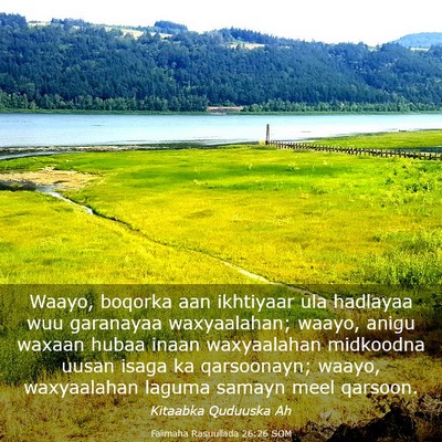 Picture 03 - Falimaha Rasuullada 26:26 SOM - Waayo, boqorka aan ikhtiyaar ula hadlayaa wuu - Bible Verse Picture