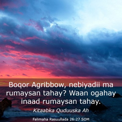 Picture 03 - Falimaha Rasuullada 26:27 SOM - Boqor Agribbow, nebiyadii ma rumaysan tahay? Waan - Bible Verse Picture