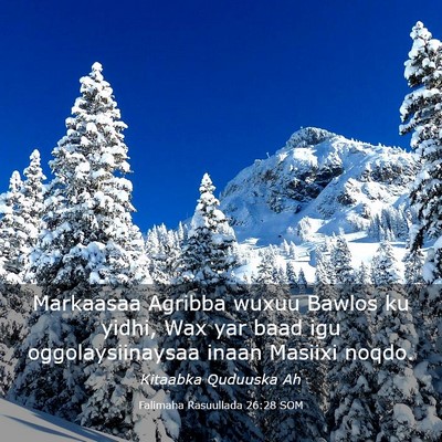 Picture 03 - Falimaha Rasuullada 26:28 SOM - Markaasaa Agribba wuxuu Bawlos ku yidhi, Wax yar - Bible Verse Picture