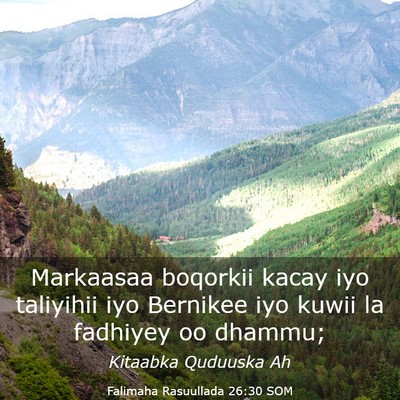 Picture 03 - Falimaha Rasuullada 26:30 SOM - Markaasaa boqorkii kacay iyo taliyihii iyo - Bible Verse Picture