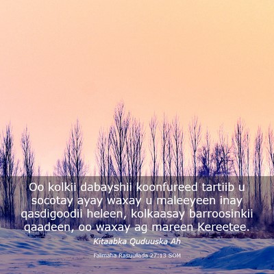 Picture 03 - Falimaha Rasuullada 27:13 SOM - Oo kolkii dabayshii koonfureed tartiib u socotay - Bible Verse Picture
