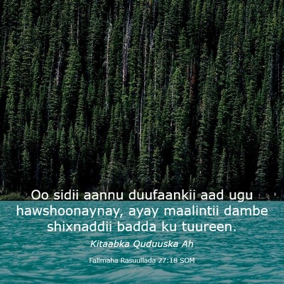 Picture 03 - Falimaha Rasuullada 27:18 SOM - Oo sidii aannu duufaankii aad ugu hawshoonaynay, - Bible Verse Picture