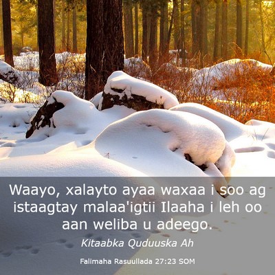 Picture 03 - Falimaha Rasuullada 27:23 SOM - Waayo, xalayto ayaa waxaa i soo ag istaagtay - Bible Verse Picture