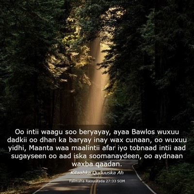 Picture 03 - Falimaha Rasuullada 27:33 SOM - Oo intii waagu soo beryayay, ayaa Bawlos wuxuu - Bible Verse Picture