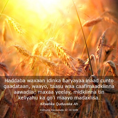 Picture 03 - Falimaha Rasuullada 27:34 SOM - Haddaba waxaan idinka baryayaa inaad cunto - Bible Verse Picture