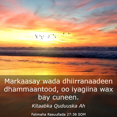 Picture 03 - Falimaha Rasuullada 27:36 SOM - Markaasay wada dhiirranaadeen dhammaantood, oo - Bible Verse Picture
