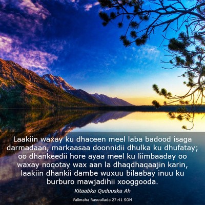 Picture 03 - Falimaha Rasuullada 27:41 SOM - Laakiin waxay ku dhaceen meel laba badood isaga - Bible Verse Picture