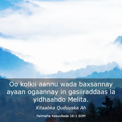 Picture 03 - Falimaha Rasuullada 28:1 SOM - Oo kolkii aannu wada baxsannay ayaan ogaannay in - Bible Verse Picture