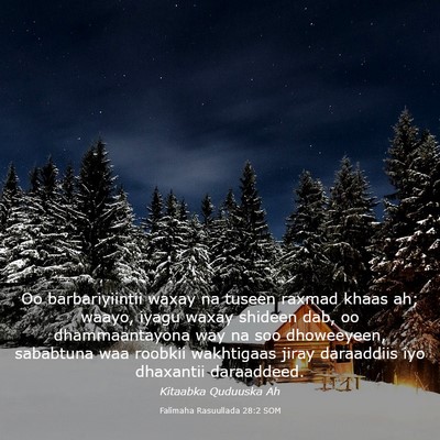 Picture 03 - Falimaha Rasuullada 28:2 SOM - Oo barbariyiintii waxay na tuseen raxmad khaas - Bible Verse Picture