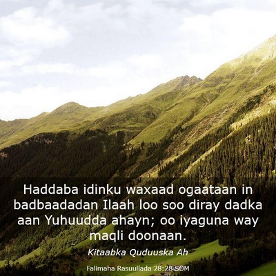Picture 03 - Falimaha Rasuullada 28:28 SOM - Haddaba idinku waxaad ogaataan in badbaadadan - Bible Verse Picture