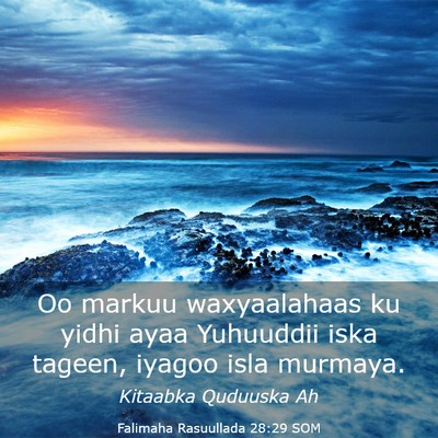 Picture 03 - Falimaha Rasuullada 28:29 SOM - Oo markuu waxyaalahaas ku yidhi ayaa Yuhuuddii - Bible Verse Picture