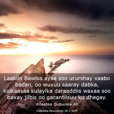 Picture 03 - Falimaha Rasuullada 28:3 SOM - Laakiin Bawlos ayaa soo ururshay xaabo badan, oo - Bible Verse Picture