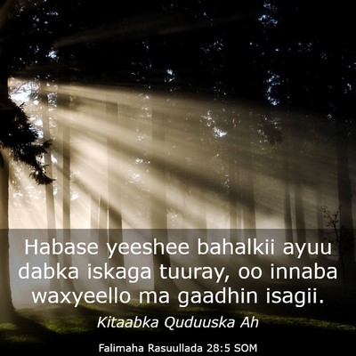 Picture 03 - Falimaha Rasuullada 28:5 SOM - Habase yeeshee bahalkii ayuu dabka iskaga tuuray, - Bible Verse Picture