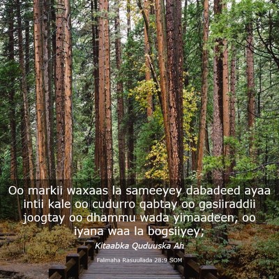 Picture 03 - Falimaha Rasuullada 28:9 SOM - Oo markii waxaas la sameeyey dabadeed ayaa intii - Bible Verse Picture