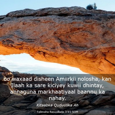 Picture 03 - Falimaha Rasuullada 3:15 SOM - oo waxaad disheen Amiirkii nolosha, kan Ilaah ka - Bible Verse Picture