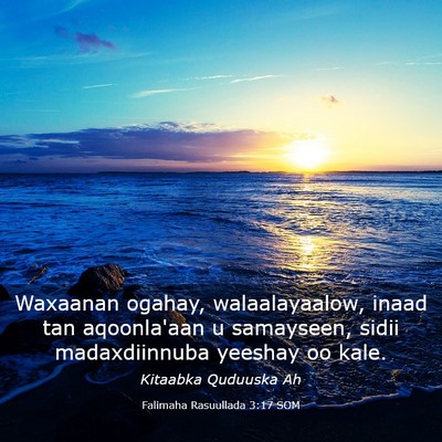 Picture 03 - Falimaha Rasuullada 3:17 SOM - Waxaanan ogahay, walaalayaalow, inaad tan - Bible Verse Picture