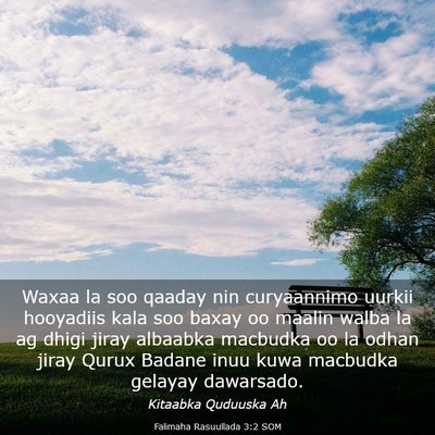 Picture 03 - Falimaha Rasuullada 3:2 SOM - Waxaa la soo qaaday nin curyaannimo uurkii - Bible Verse Picture