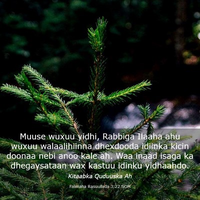 Picture 03 - Falimaha Rasuullada 3:22 SOM - Muuse wuxuu yidhi, Rabbiga Ilaaha ahu wuxuu - Bible Verse Picture