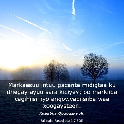 Picture 03 - Falimaha Rasuullada 3:7 SOM - Markaasuu intuu gacanta midigtaa ku dhegay ayuu - Bible Verse Picture