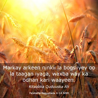Picture 03 - Falimaha Rasuullada 4:14 SOM - Markay arkeen ninkii la bogsiiyey oo la taagan - Bible Verse Picture