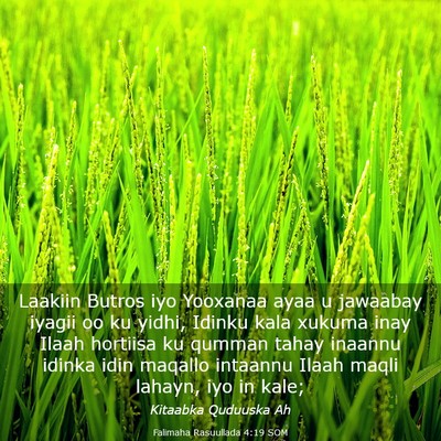 Picture 03 - Falimaha Rasuullada 4:19 SOM - Laakiin Butros iyo Yooxanaa ayaa u jawaabay - Bible Verse Picture