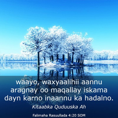 Picture 03 - Falimaha Rasuullada 4:20 SOM - waayo, waxyaalihii aannu aragnay oo maqallay - Bible Verse Picture