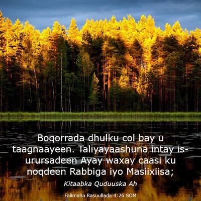 Picture 03 - Falimaha Rasuullada 4:26 SOM - Boqorrada dhulku col bay u taagnaayeen. - Bible Verse Picture