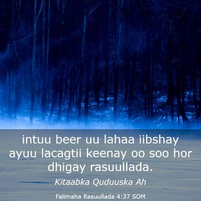 Picture 03 - Falimaha Rasuullada 4:37 SOM - intuu beer uu lahaa iibshay ayuu lacagtii keenay - Bible Verse Picture