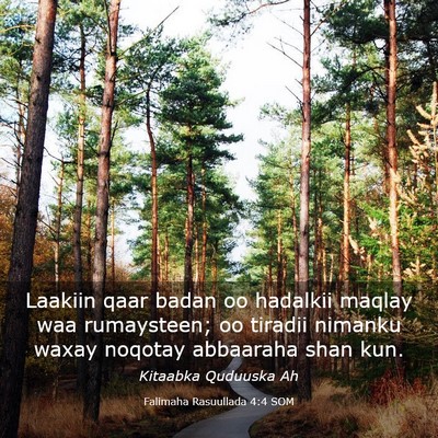 Picture 03 - Falimaha Rasuullada 4:4 SOM - Laakiin qaar badan oo hadalkii maqlay waa - Bible Verse Picture