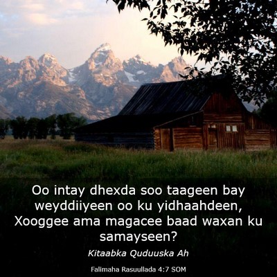 Picture 03 - Falimaha Rasuullada 4:7 SOM - Oo intay dhexda soo taageen bay weyddiiyeen oo ku - Bible Verse Picture