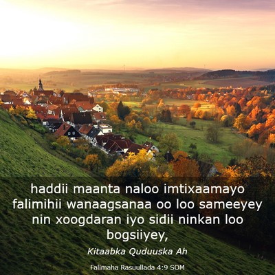 Picture 03 - Falimaha Rasuullada 4:9 SOM - haddii maanta naloo imtixaamayo falimihii - Bible Verse Picture