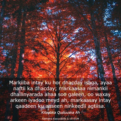Picture 03 - Falimaha Rasuullada 5:10 SOM - Markiiba intay ku hor dhacday isaga, ayaa naftii - Bible Verse Picture