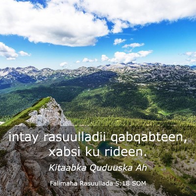 Picture 03 - Falimaha Rasuullada 5:18 SOM - intay rasuulladii qabqabteen, xabsi ku - Bible Verse Picture