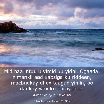 Picture 03 - Falimaha Rasuullada 5:25 SOM - Mid baa intuu u yimid ku yidhi, Ogaada, nimankii - Bible Verse Picture