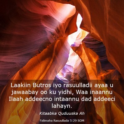 Picture 03 - Falimaha Rasuullada 5:29 SOM - Laakiin Butros iyo rasuulladii ayaa u jawaabay oo - Bible Verse Picture
