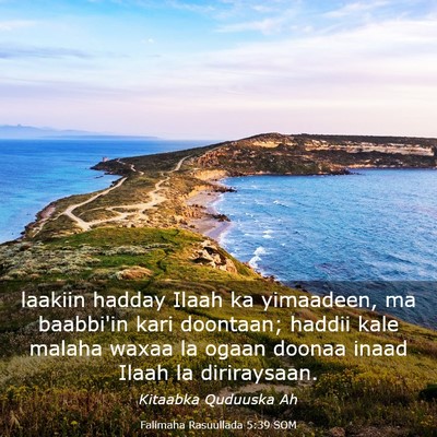 Picture 03 - Falimaha Rasuullada 5:39 SOM - laakiin hadday Ilaah ka yimaadeen, ma baabbi'in - Bible Verse Picture