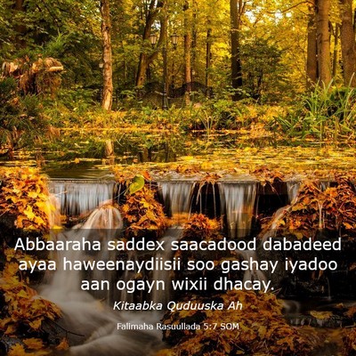 Picture 03 - Falimaha Rasuullada 5:7 SOM - Abbaaraha saddex saacadood dabadeed ayaa - Bible Verse Picture
