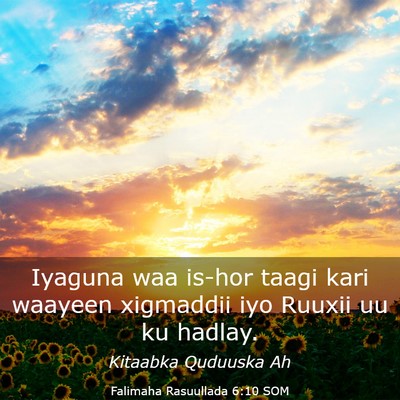 Picture 03 - Falimaha Rasuullada 6:10 SOM - Iyaguna waa is-hor taagi kari waayeen xigmaddii - Bible Verse Picture