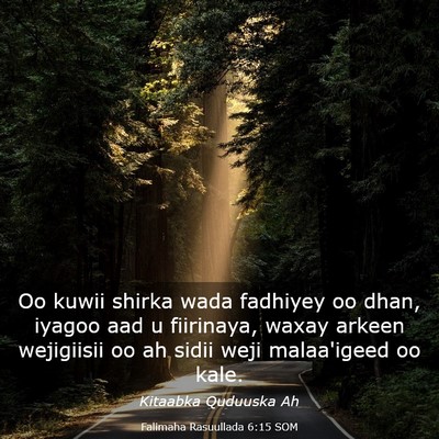 Picture 03 - Falimaha Rasuullada 6:15 SOM - Oo kuwii shirka wada fadhiyey oo dhan, iyagoo aad - Bible Verse Picture