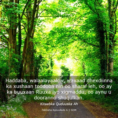 Picture 03 - Falimaha Rasuullada 6:3 SOM - Haddaba, walaalayaalow, waxaad dhexdiinna ka - Bible Verse Picture