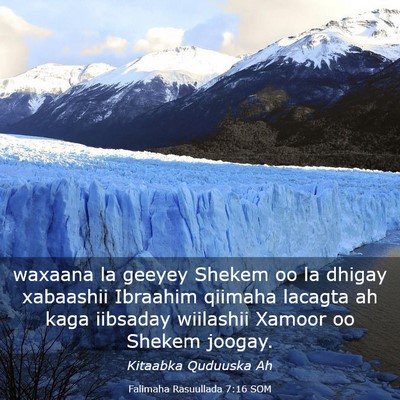 Picture 03 - Falimaha Rasuullada 7:16 SOM - waxaana la geeyey Shekem oo la dhigay xabaashii - Bible Verse Picture