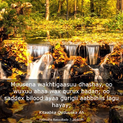 Picture 03 - Falimaha Rasuullada 7:20 SOM - Muusena wakhtigaasuu dhashay, oo wuxuu ahaa wax - Bible Verse Picture