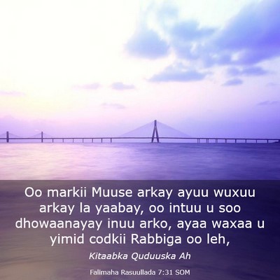 Picture 03 - Falimaha Rasuullada 7:31 SOM - Oo markii Muuse arkay ayuu wuxuu arkay la yaabay, - Bible Verse Picture