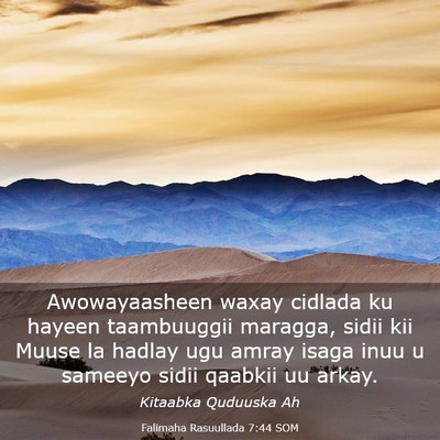 Picture 03 - Falimaha Rasuullada 7:44 SOM - Awowayaasheen waxay cidlada ku hayeen taambuuggii - Bible Verse Picture