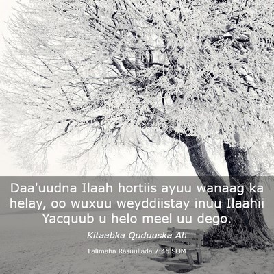 Picture 03 - Falimaha Rasuullada 7:46 SOM - Daa'uudna Ilaah hortiis ayuu wanaag ka helay, oo - Bible Verse Picture