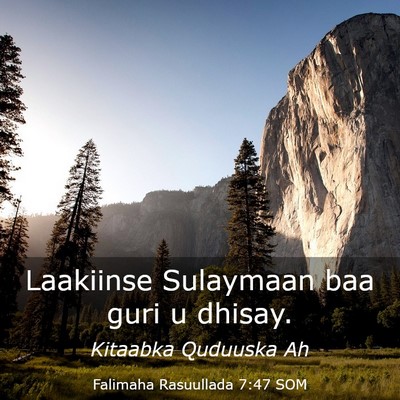 Picture 03 - Falimaha Rasuullada 7:47 SOM - Laakiinse Sulaymaan baa guri u - Bible Verse Picture